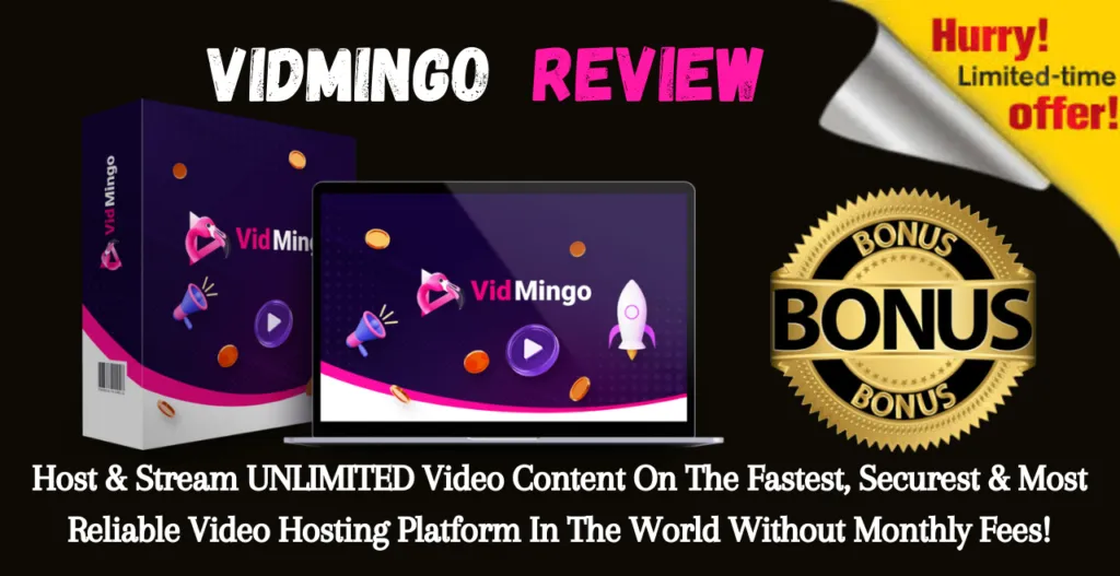 vidmingo-review