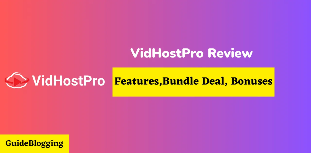 VidHostPro Review