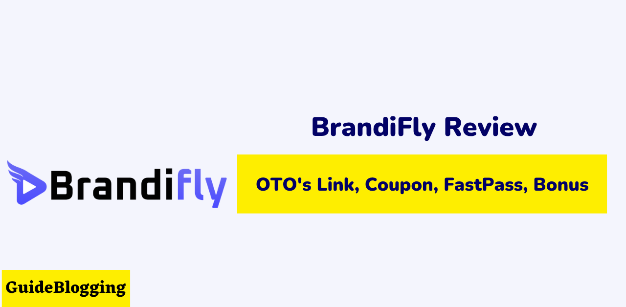 brandifly-review