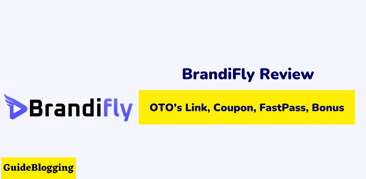brandifly-review
