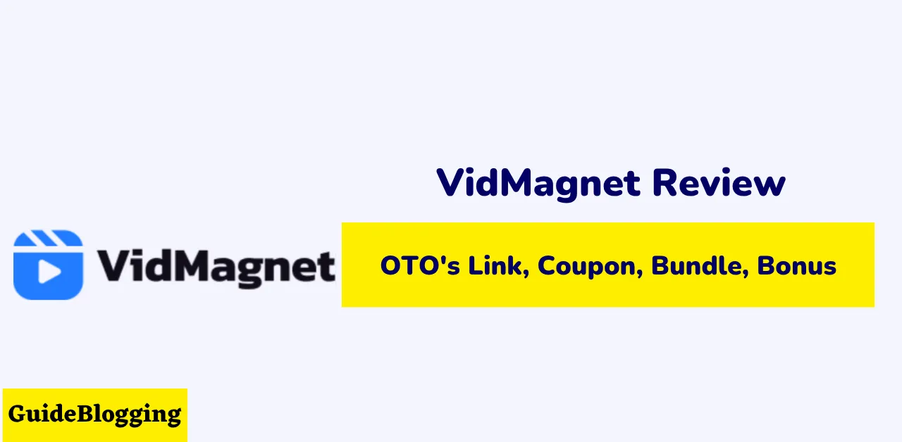 VidMagnet Review