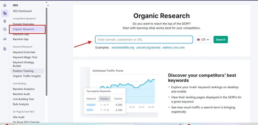 Organic Research & Competitor Insights