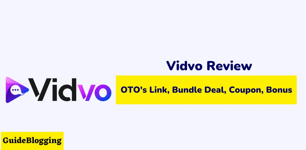vidvo-review